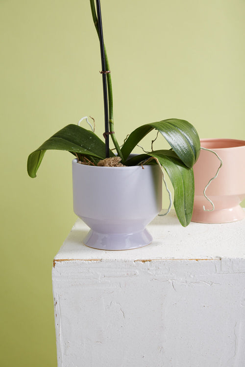 Large Pasadena Planter Pot