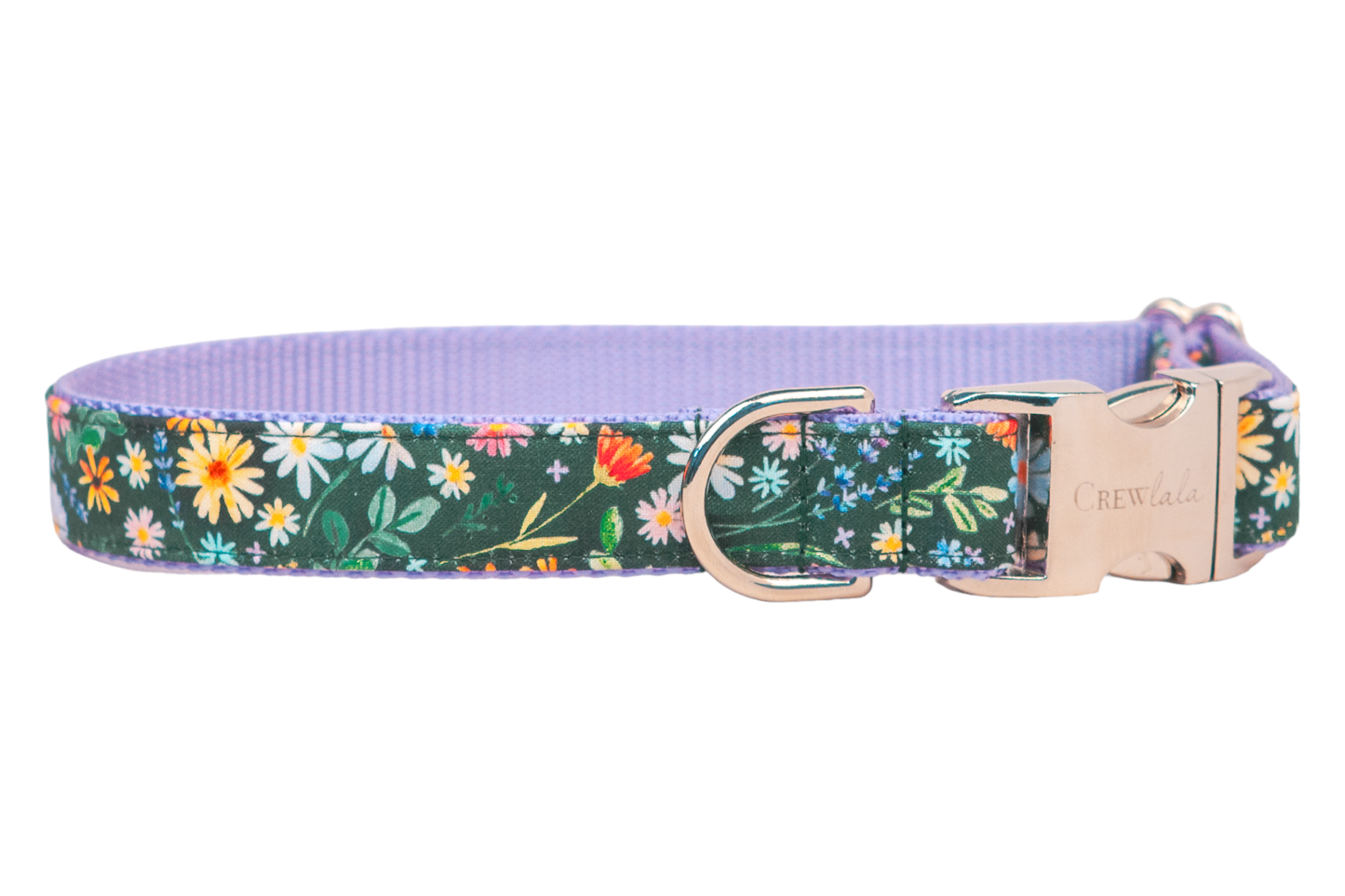 Bloom Time Belle Bow Dog Collar : Silver / Extra Small (5/8" Width)