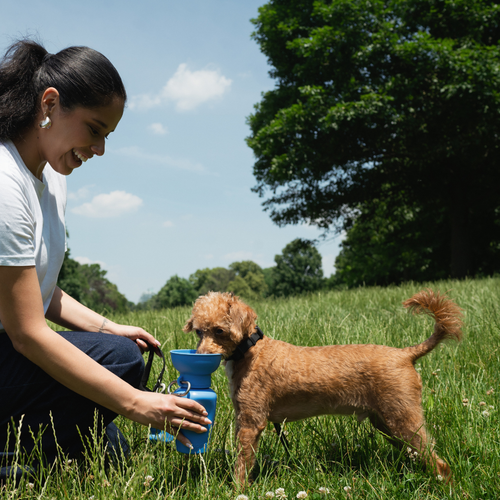 Dog Travel Water Bottle - 20oz Flip