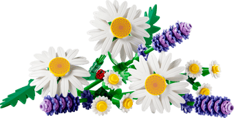 LEGO® Daisies [11508]