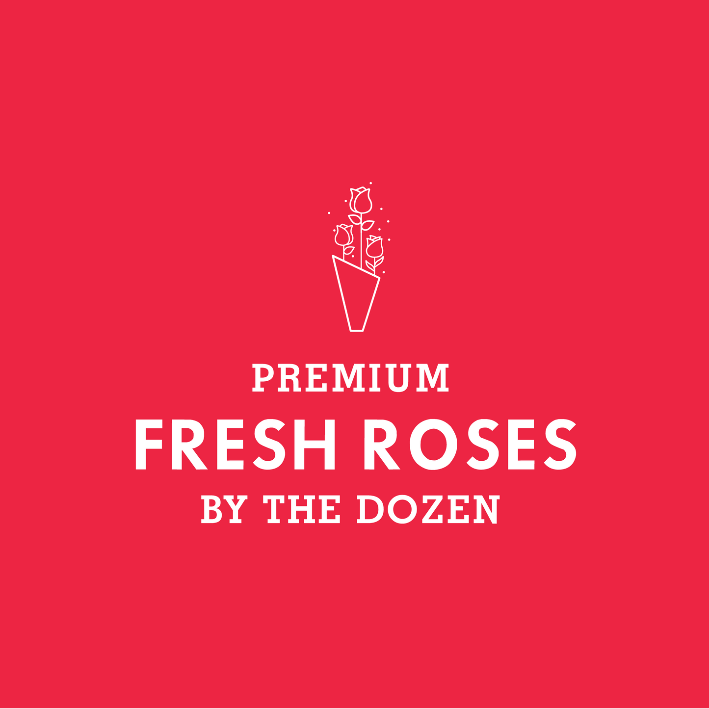 Roses by the Dozen