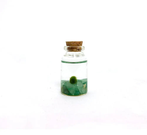 Moss Niño - Adventurine