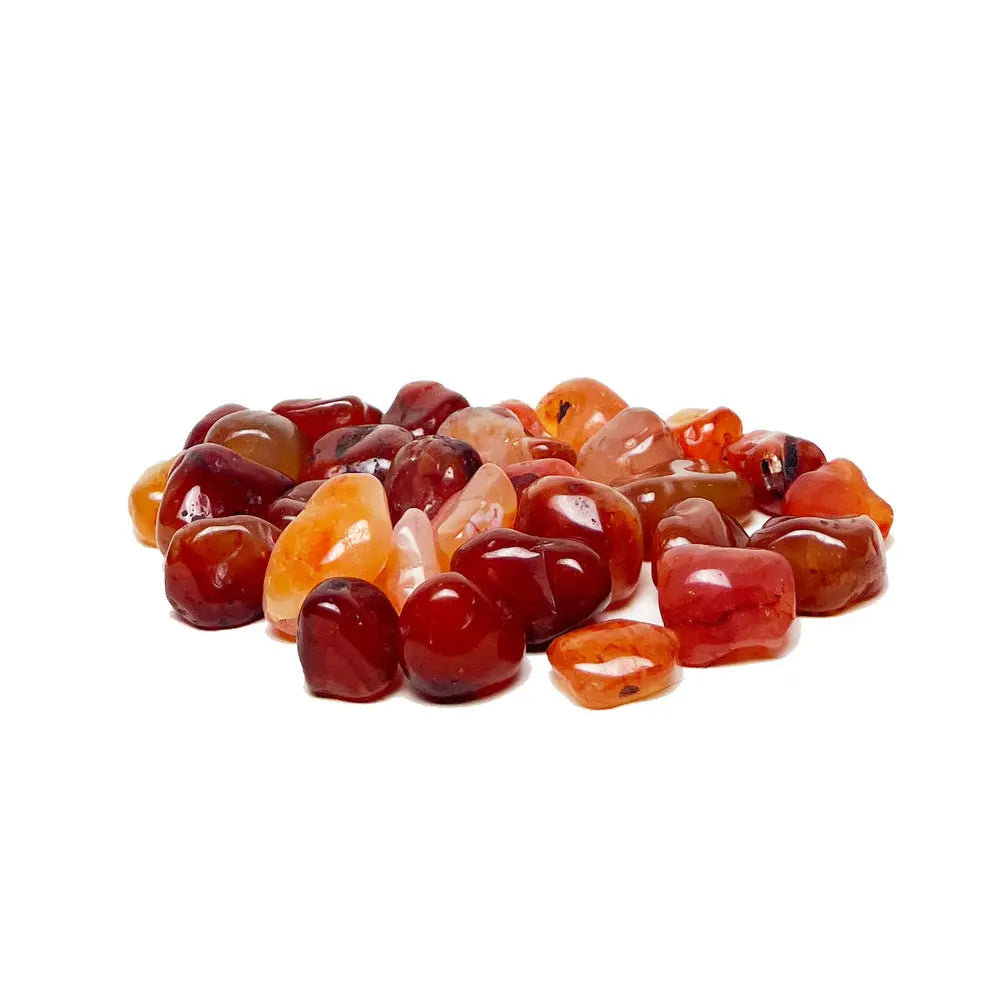 Moss Rico - Carnelian