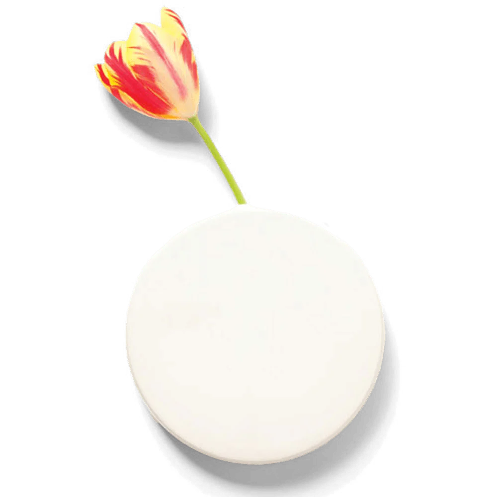 Wall Dot Ceramic Flower Vase