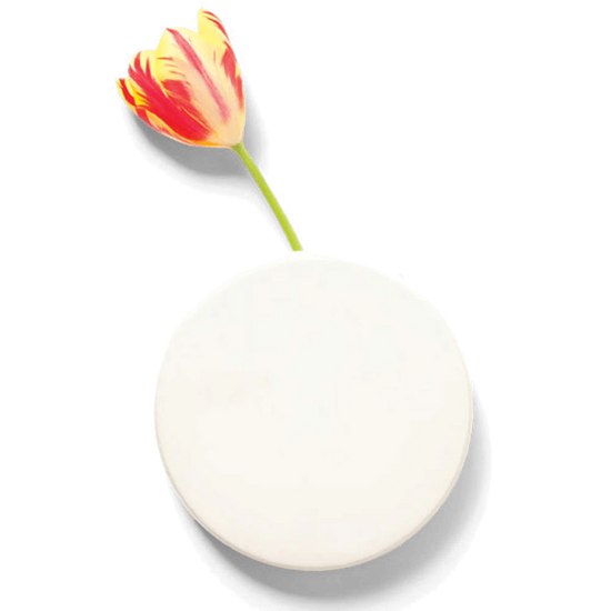 Wall Dot Ceramic Flower Vase
