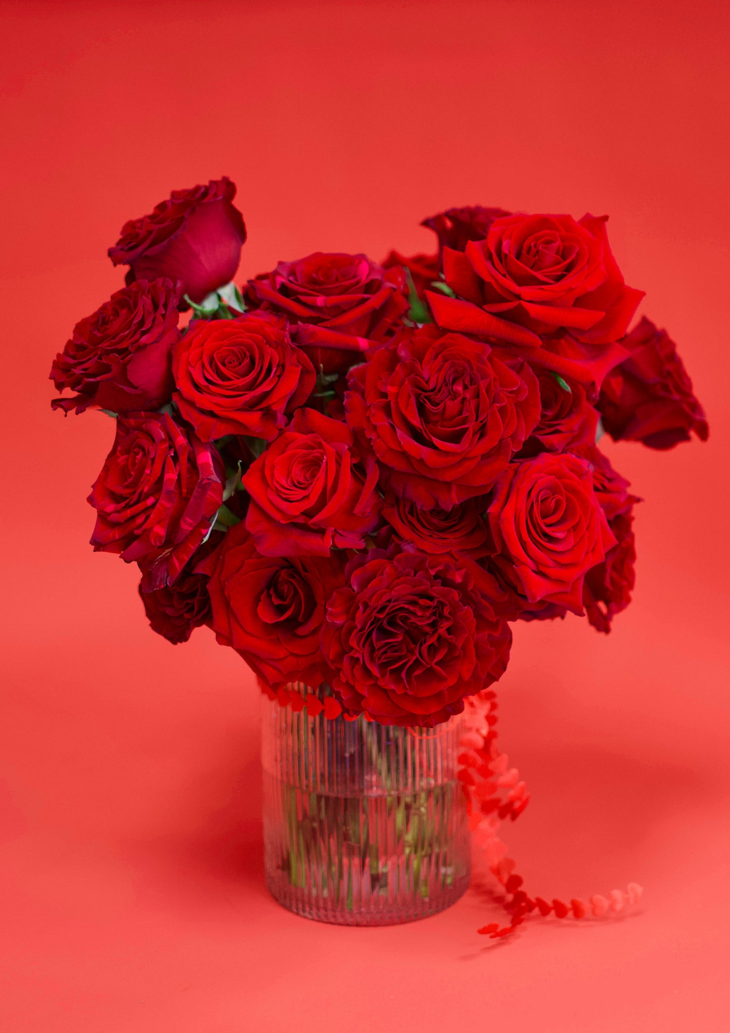 Bouquet of red roses in a clear vase on a red background