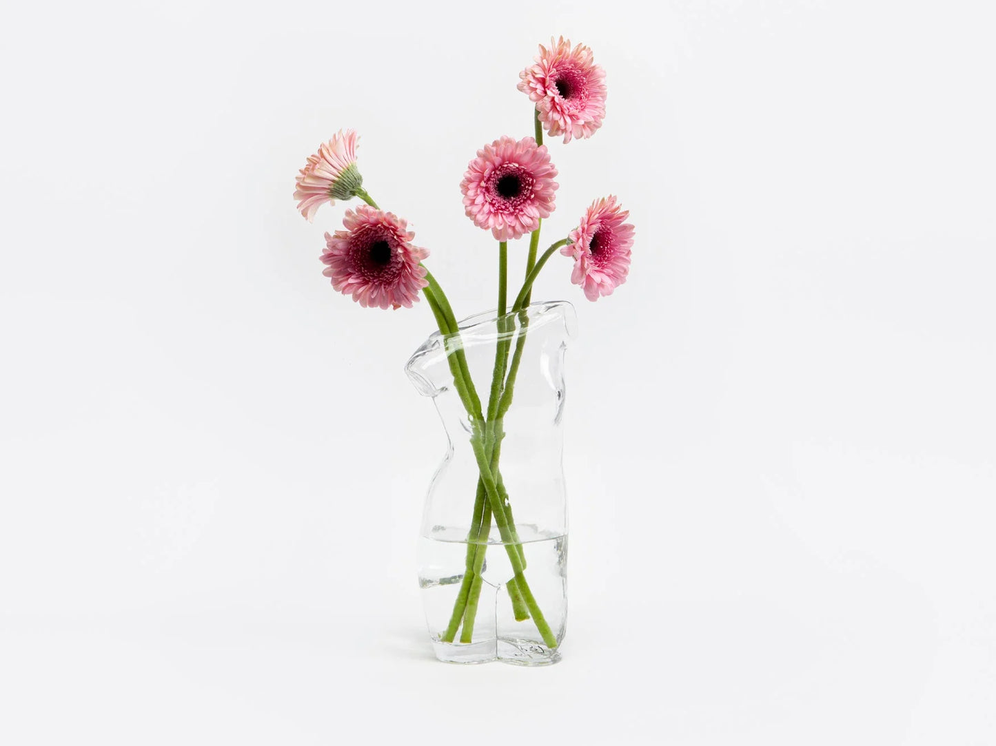 Clear Body Vase