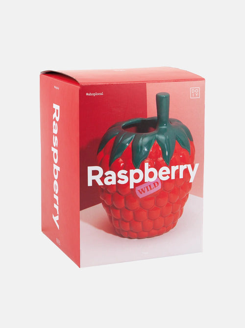Raspberry Vase