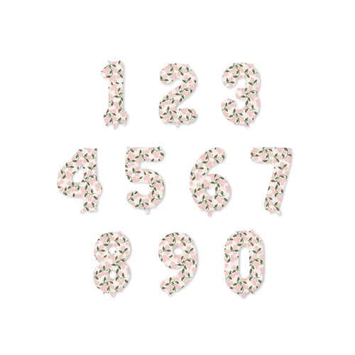 RiflePaperCo Number Balloons - Pink Hydrangea