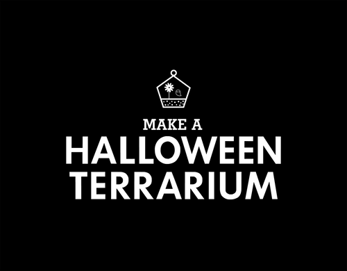 Make a Halloween Terrarium