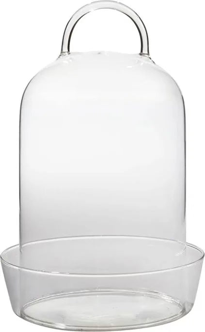 Venta Terrarium
