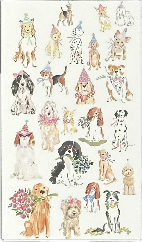 Matchbox - Pawty