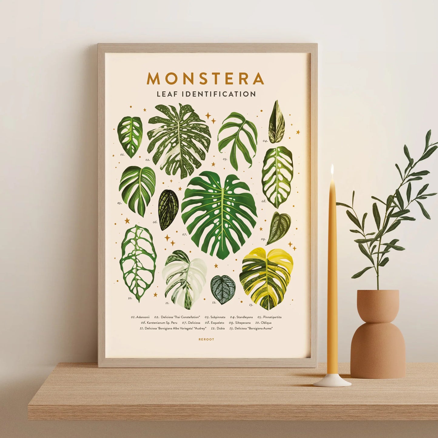 Leaf Identification 11x17 Art Print