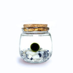 Moss Chico - Moonstone