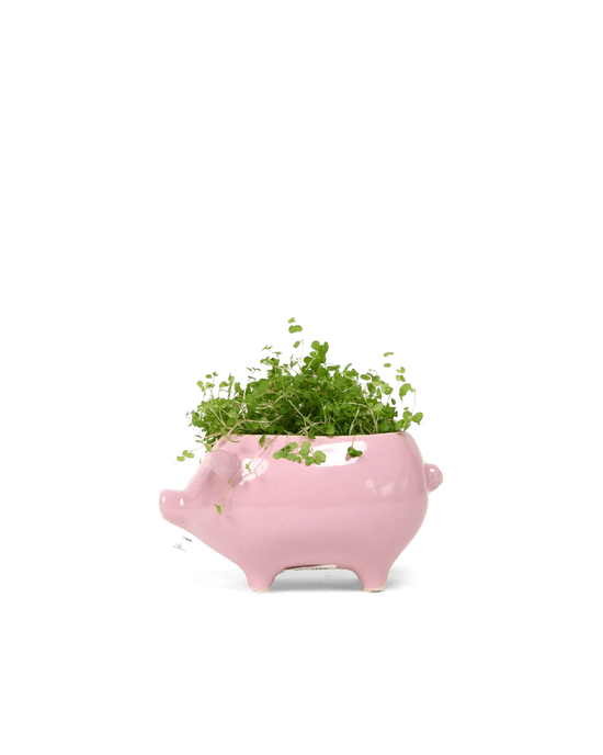 Pink Pig Ceramic Planter Pot