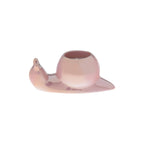 Sugared Peony Snail Candle