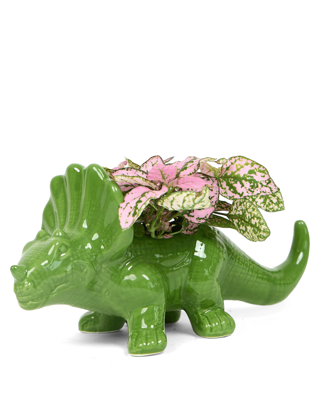 Triceratops Planter Vase