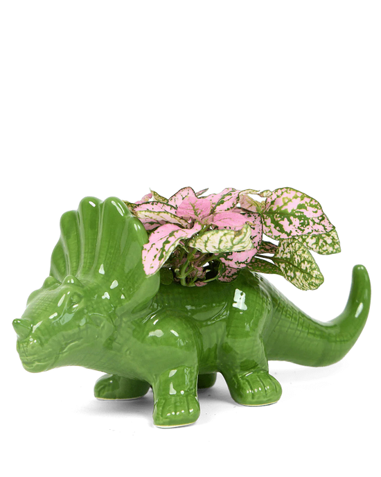 Triceratops Planter Vase