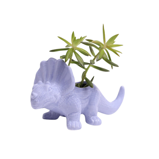 Triceratops Planter Vase