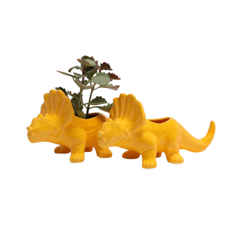 Triceratops Planter Vase