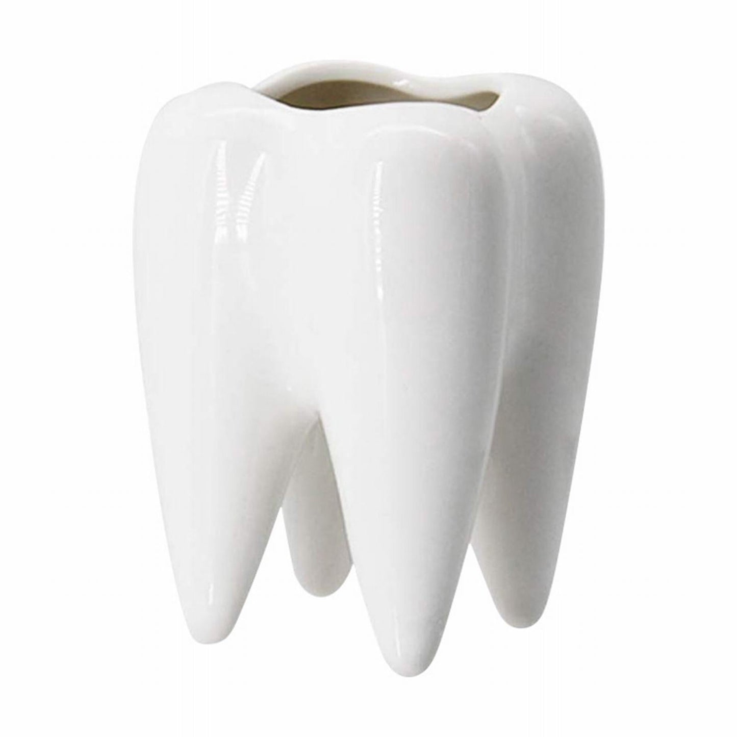 Tooth Vase