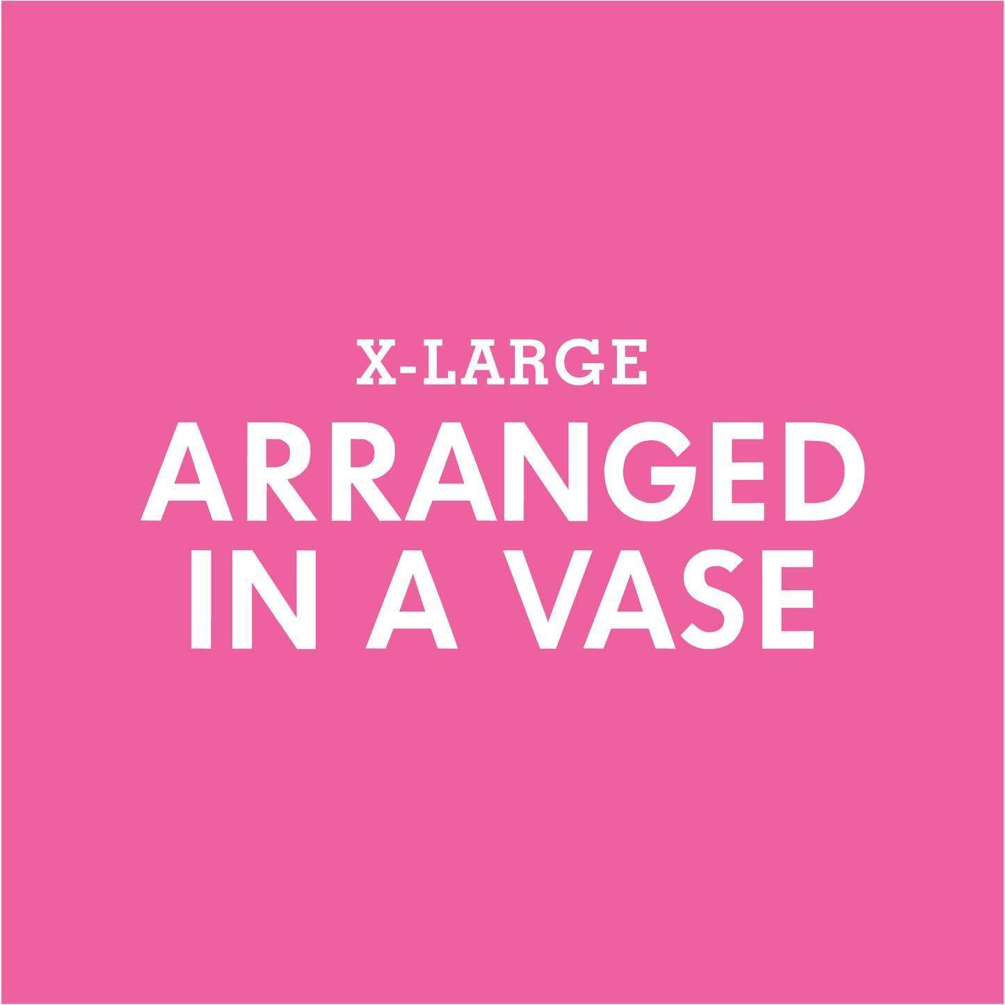 ARRANGEMENT - X-Large