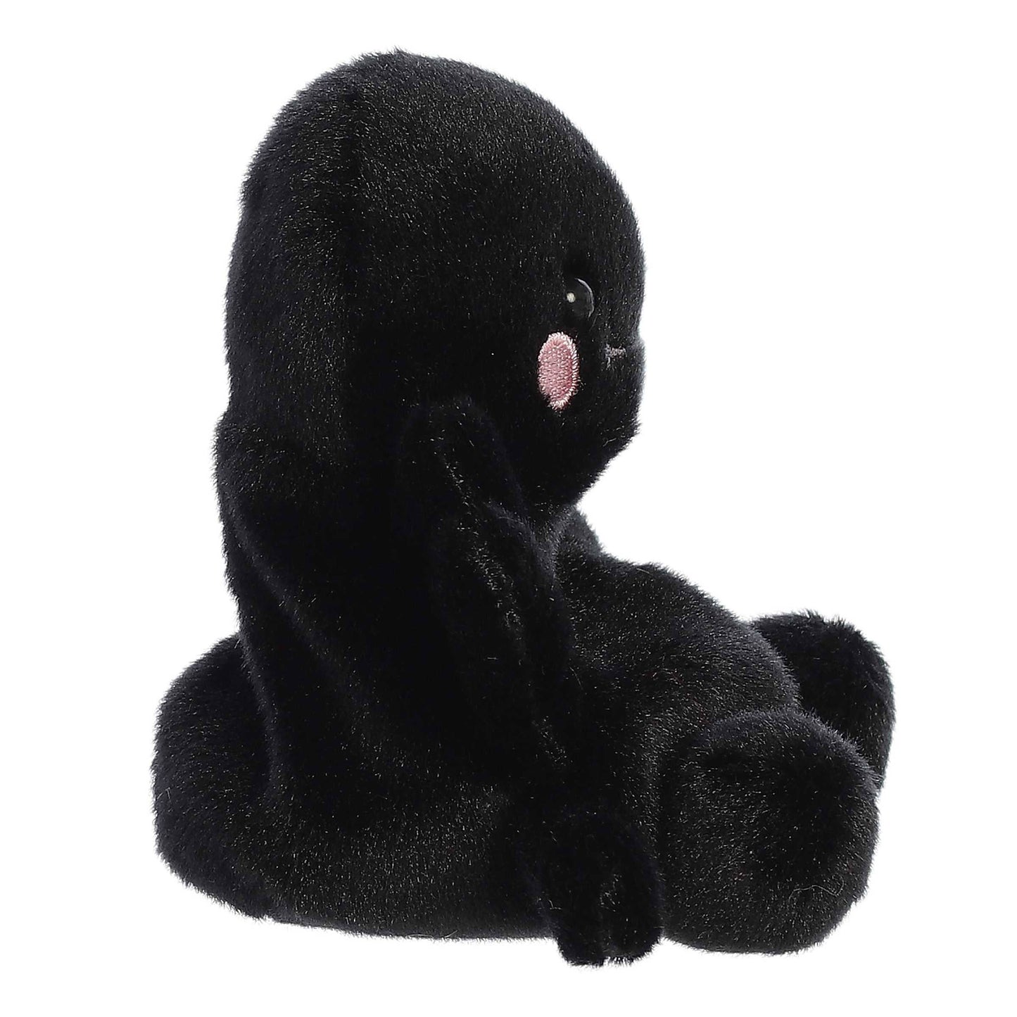 Palm Pals - Penny Mae Spider