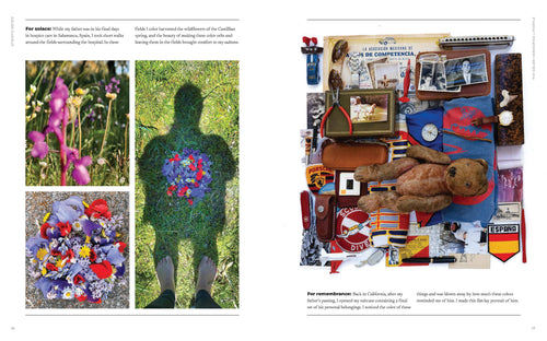 Color Curious Book