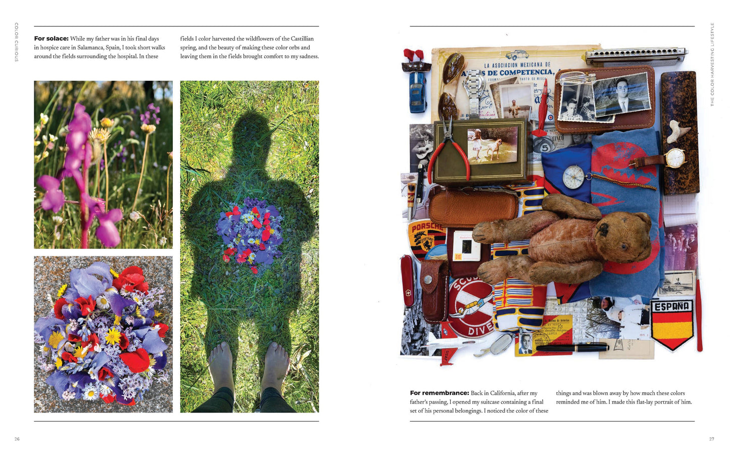 Color Curious Book