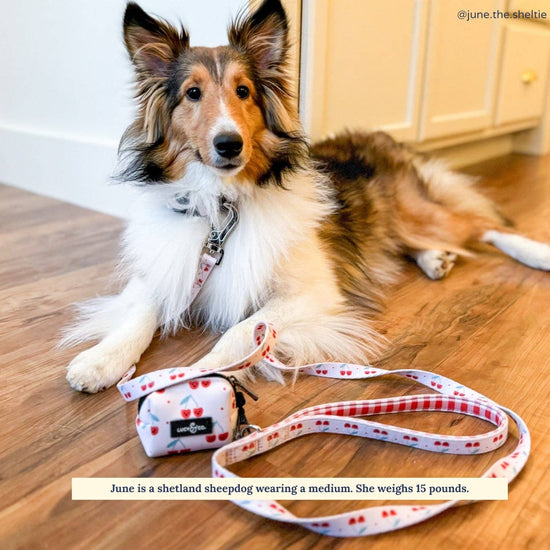 The Cheery Cherries Dog Leash