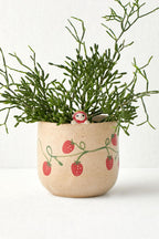 Peeking Cat Planter