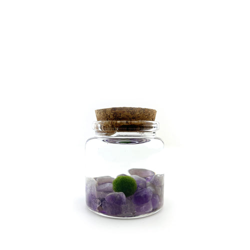 Moss Rico - Amethyst