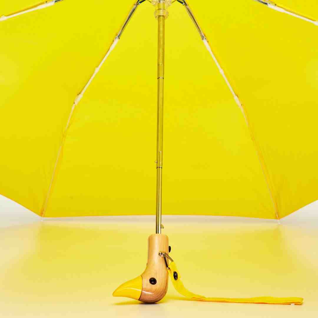 Solid Color Duck Umbrella