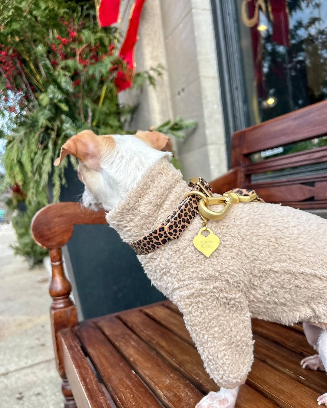 Waterproof Leopard Dog Collar