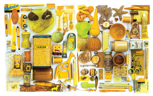 Color Curious Book