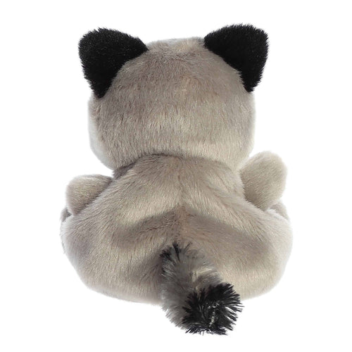 Palm Pals - Rascal Raccoon