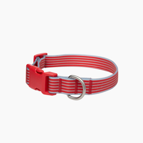 Striped Dog Collar: Cherry/Sky