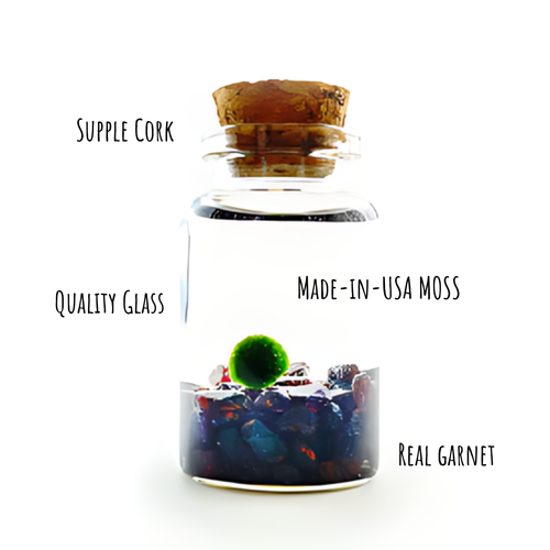 Moss Niño - Garnet