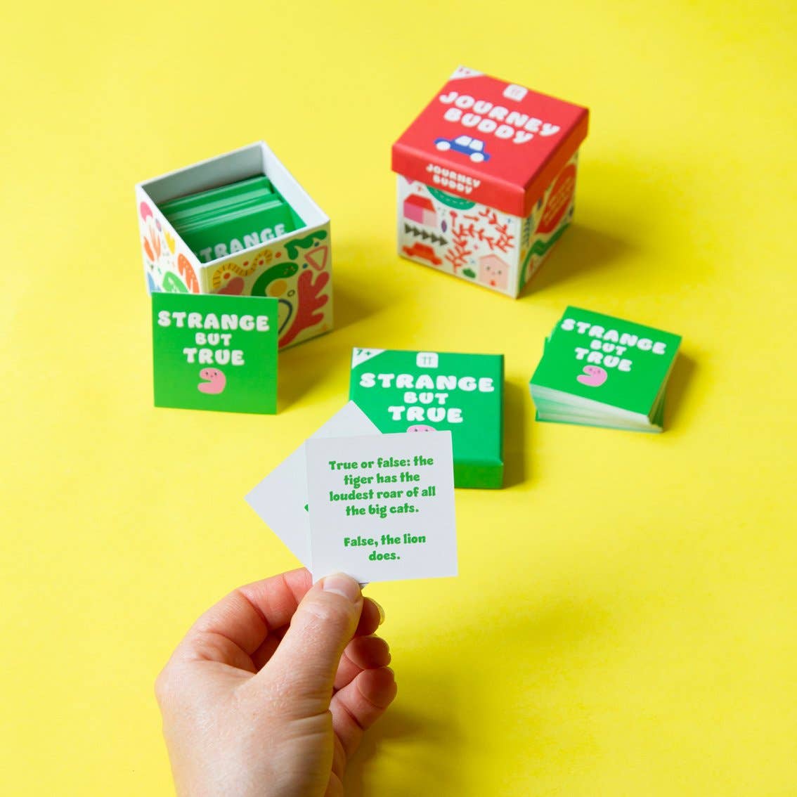 Kids Trivia Mixed Games