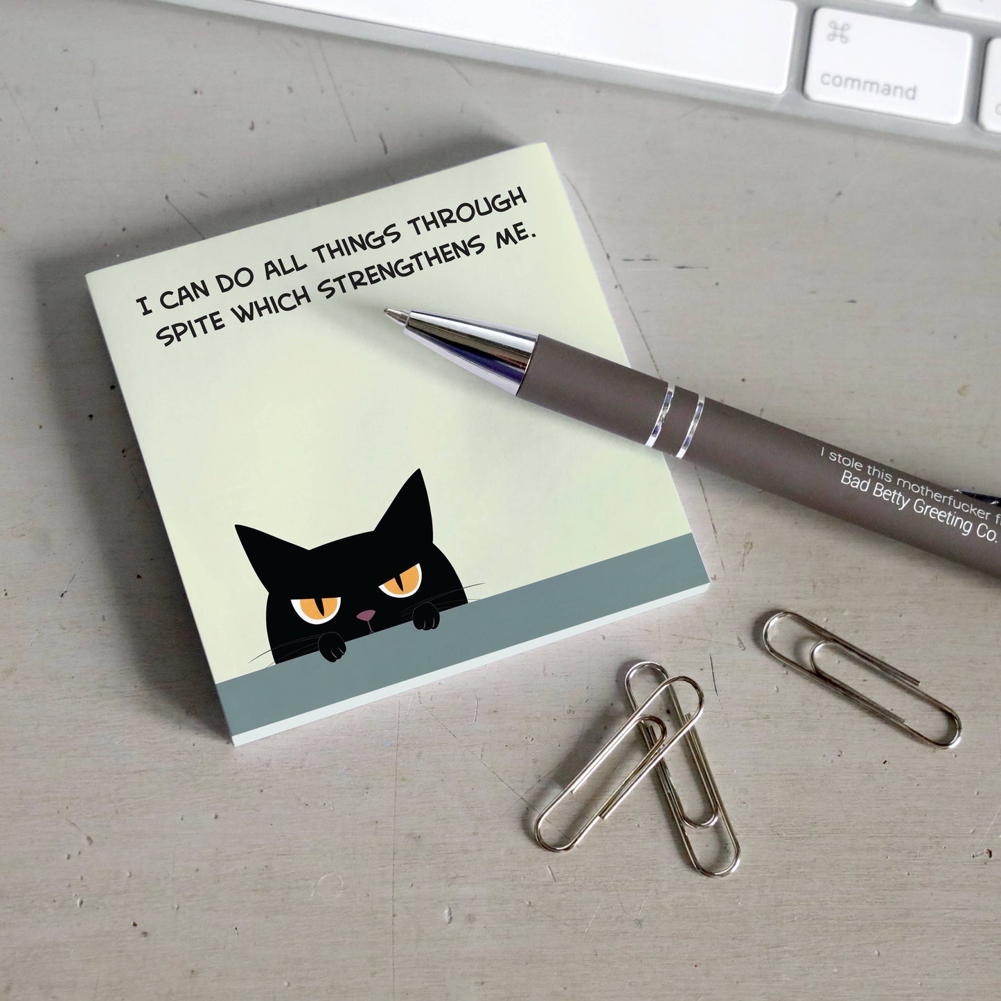 I Can Do All Things Through Spite Sticky Notes