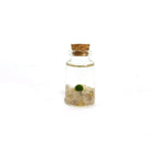 Moss Niño - Golden Quartz