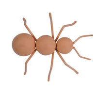 Decorative Ant