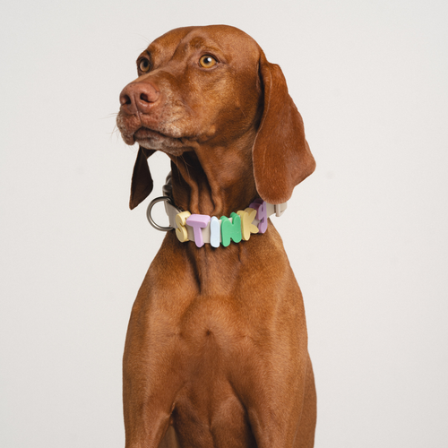 Silicone Dog Collar Charms