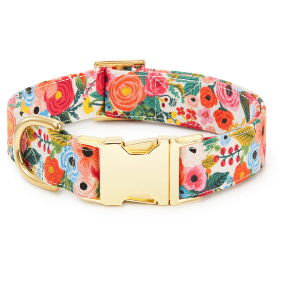 Rifle Paper Co. x TFD Garden Party Dog Collar: M/ Gold