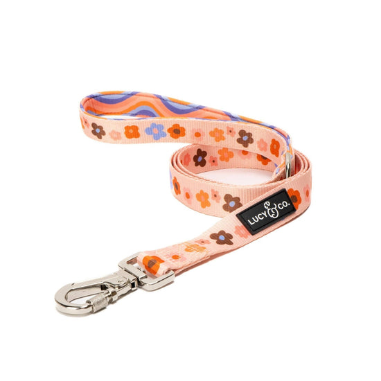 The Let's Groove Dog Leash