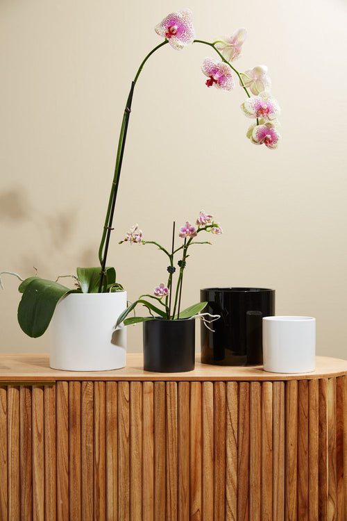 Cercle Planter Vase
