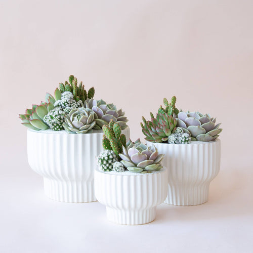 Presley Pedestal Pot - Small