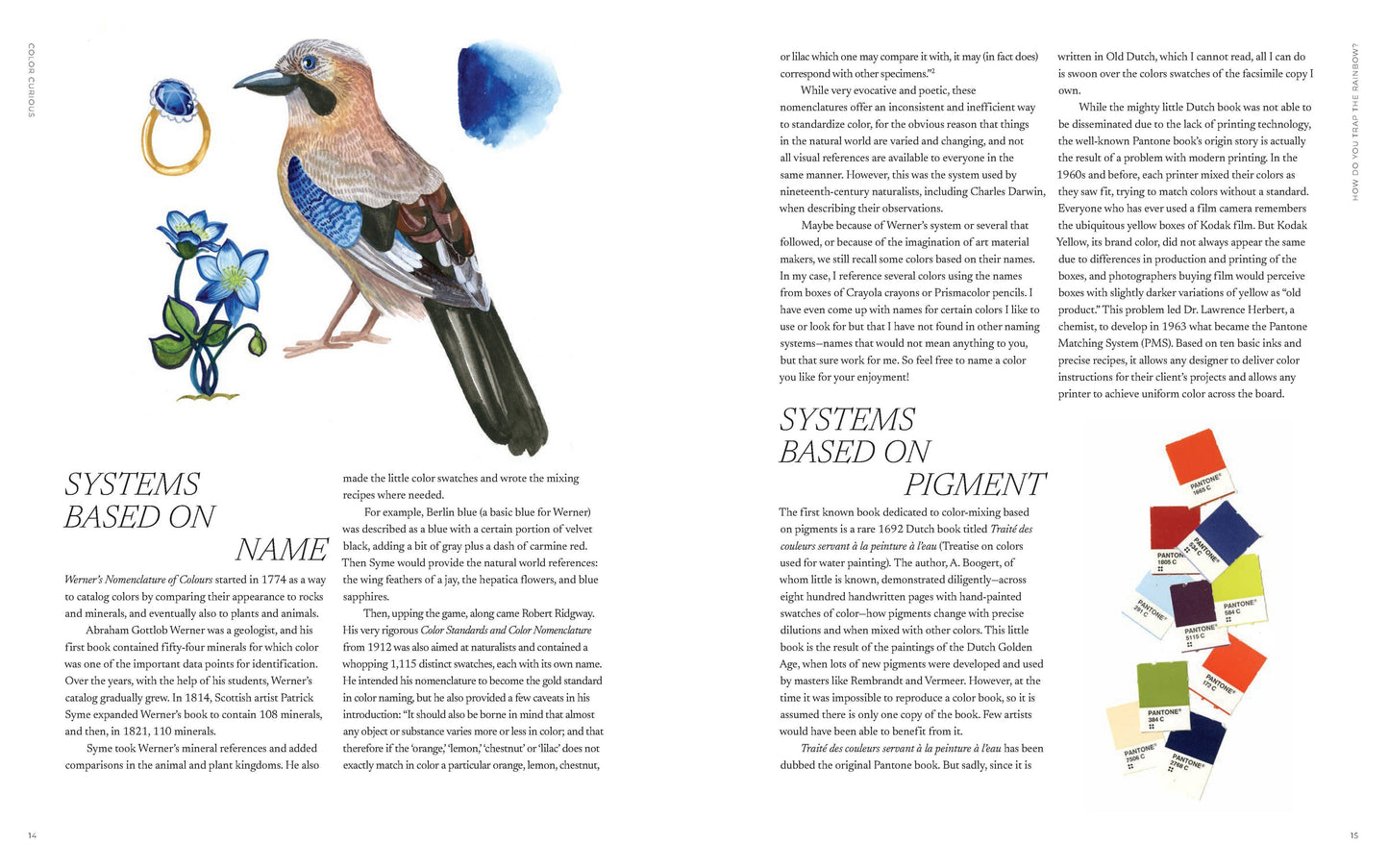 Color Curious Book
