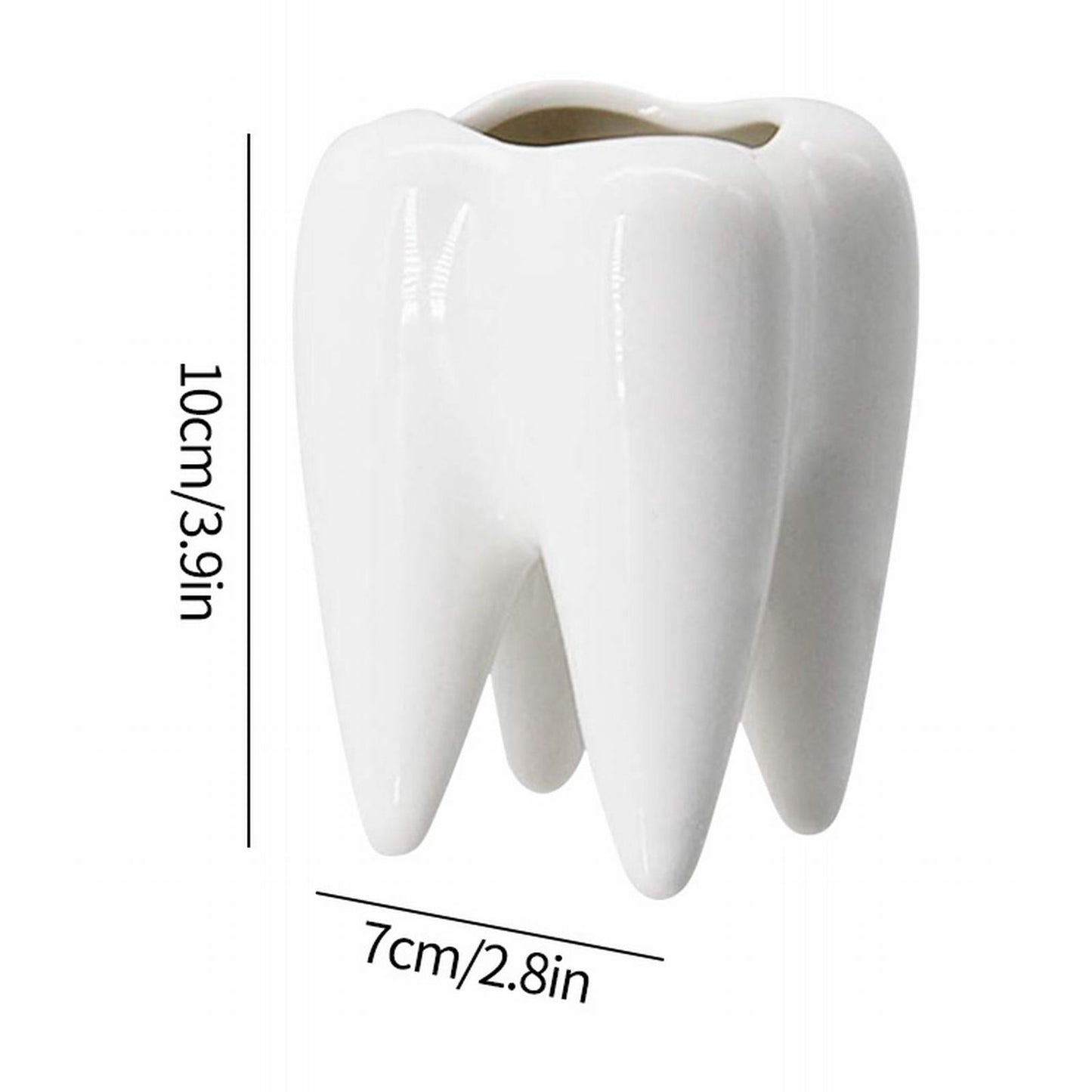 Tooth Vase