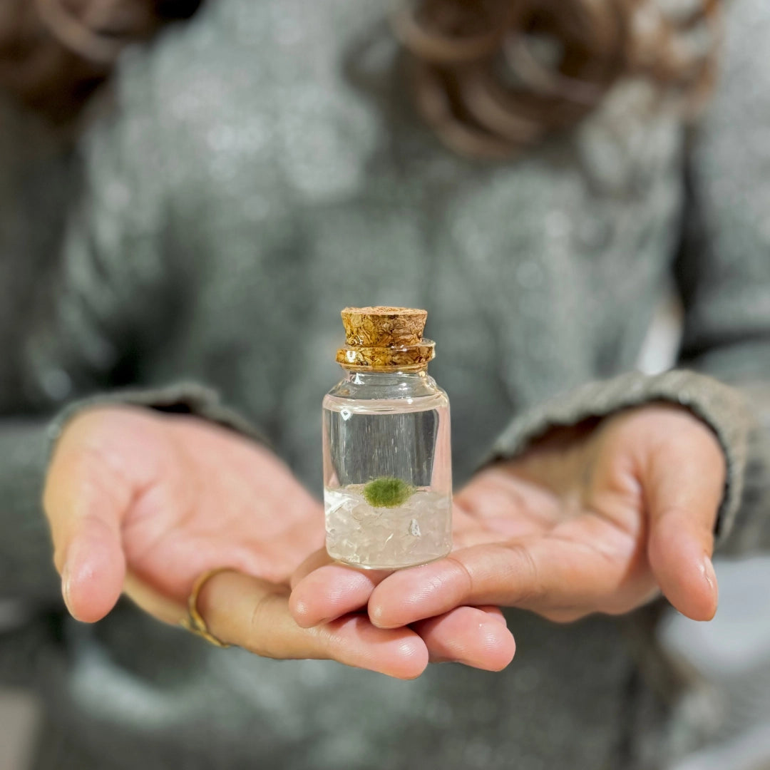 Moss Niño - Rose Quartz